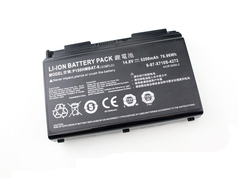 (image for) Original 5200mAh 8 Zellen Akku Sager NP8295